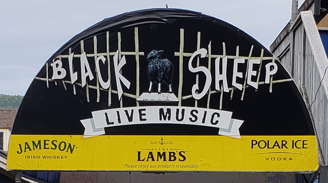 The Black Sheep